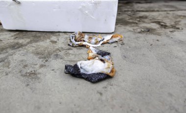 Sokaktaki çiğ ve kötü balık kafaları, hayvan atıkları, balıkçılar.