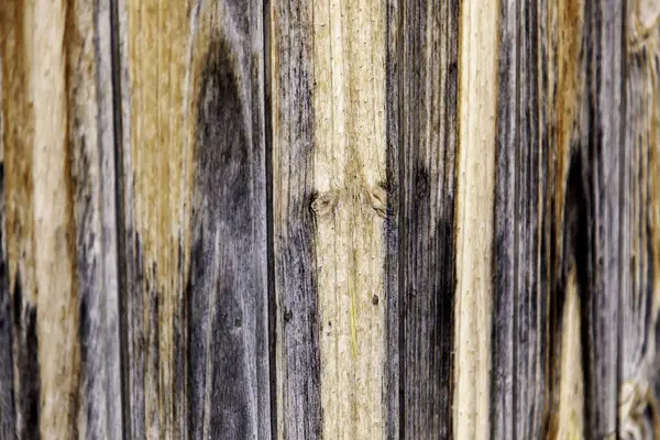 Holzdielen Hintergrund Edles Holz Detail — Stockfoto