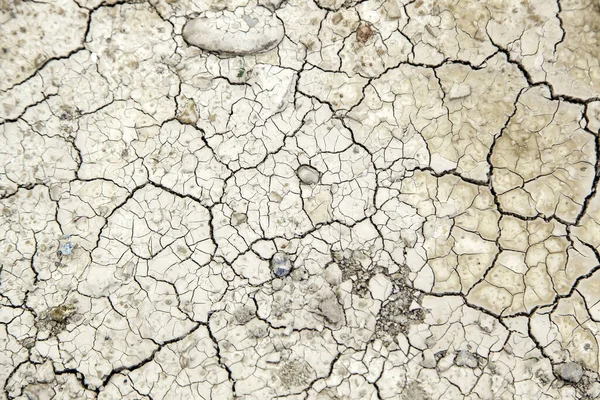 Cracked Earth Texture Field Nature Agriculture Arid Environment — Stock Photo, Image