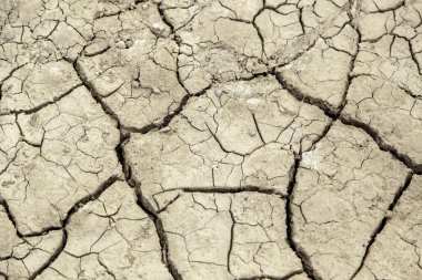 İklim değişikliği ve çevresel yıkımın ayrıntıları