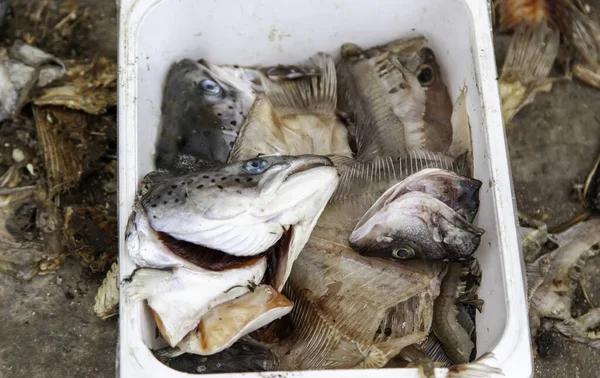 Szczegóły Szczątków Ryb Wyrzucone Jedzenie Złym Stanie — Zdjęcie stockowe