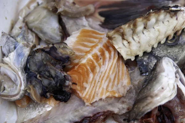 Detalle Los Restos Peces Tirados Comida Mal Estado —  Fotos de Stock