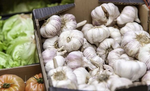 Roher Knoblauch Landwirtschaft Und Gemüse — Stockfoto