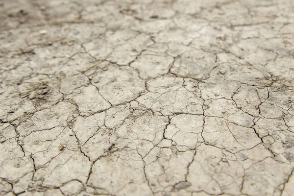 Detalhe Das Alterações Climáticas Destruição Ambiental — Fotografia de Stock