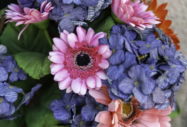 Grandes Marguerites Colorées Bouquet Fleurs Jardin Botanique — Photo