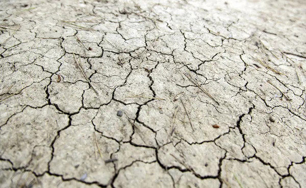 Cracked earth texture in field, nature and agriculture, arid environment