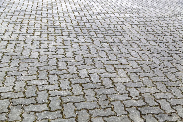 Тротуарная Плитка Земле Детали Пешеходной Прогулки — стоковое фото