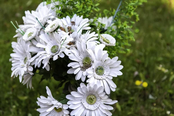 Detalj Naturliga Blommor Natur Och Friskhet — Stockfoto