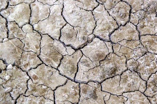 Detalhe Seca Das Alterações Climáticas — Fotografia de Stock