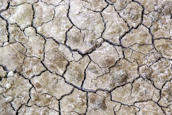 Detail Drought Climate Change Stock Image