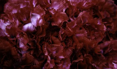 Düğün masasında damat gülleri, kutlama.