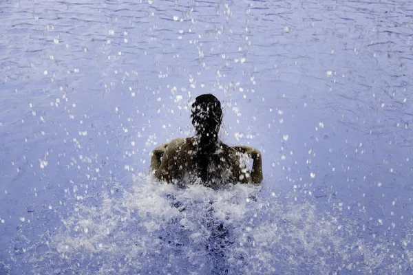 Γυναίκα Που Κολυμπούν Στην Πισίνα Σπα Καλοκαιρινές Διακοπές — Φωτογραφία Αρχείου