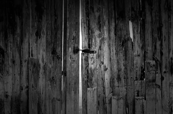 Detail Closed Wooden Door Ruins Abandonment — Foto de Stock