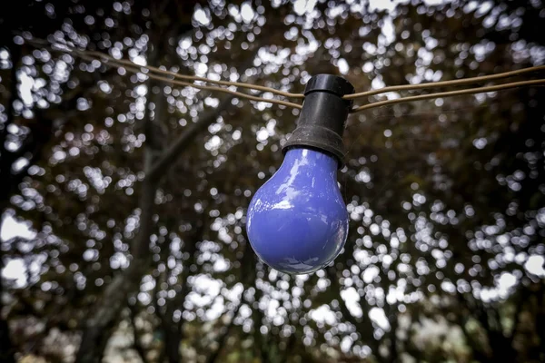 Détail Ampoule Électrique Peinte Colorée Éclairage Décoration — Photo