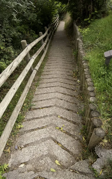 스포츠의 가운데에 사람들을 산책의 — 스톡 사진