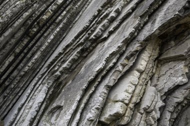 Sahildeki ünlü kaya oluşumunun detayları, erozyon ve doğa, turistik cazibe.