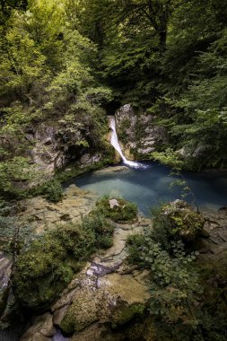 Antik bir ormandaki şelalenin ayrıntıları, doğa.