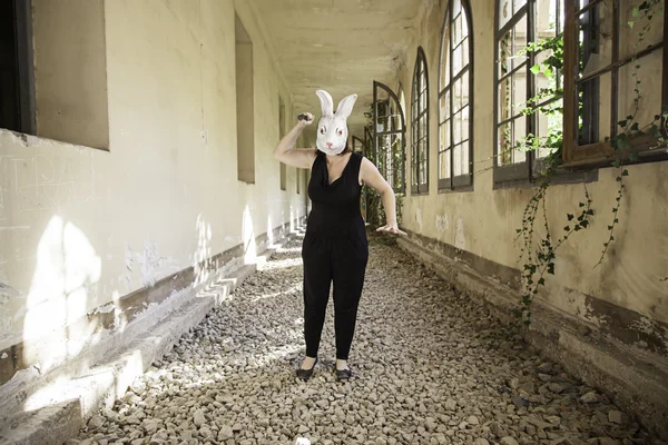 Rabbit woman attack — Stock Photo, Image