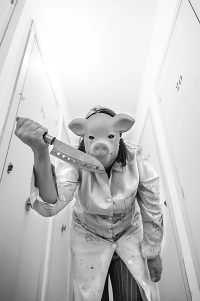 Schweineangriff — Stockfoto