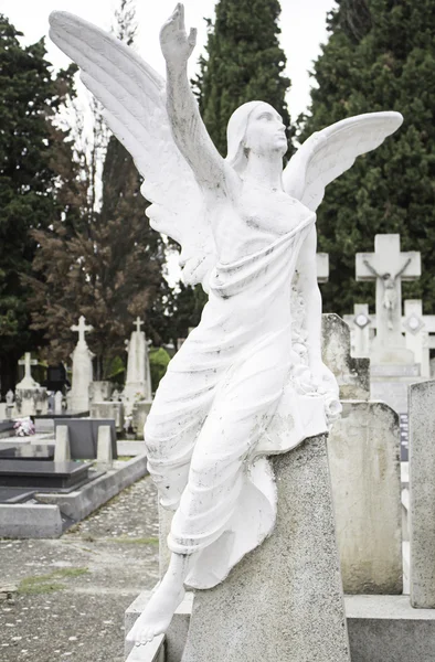 Ангел на кладбище — стоковое фото