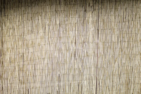 Bambu panel — Stockfoto