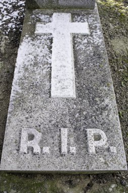 Çapraz karlı
