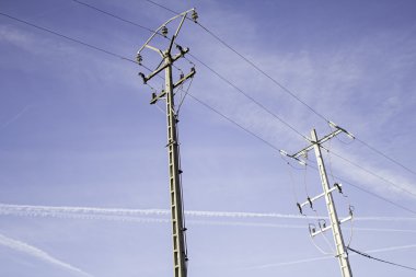 Elektrik direkleri