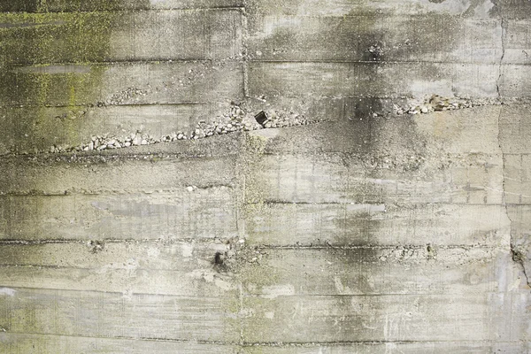 Duvar karanlık yosun — Stok fotoğraf