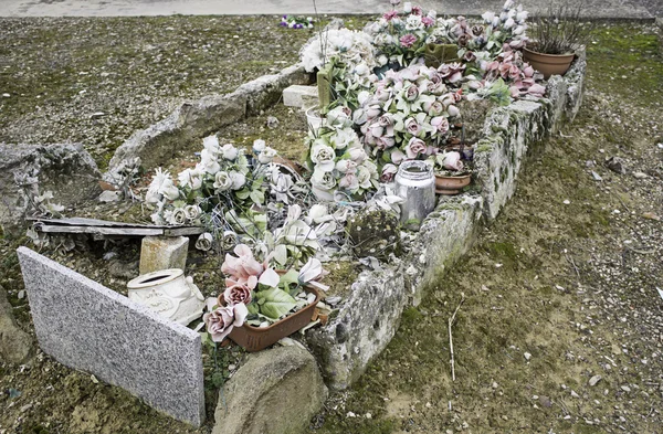 墓満開 — ストック写真