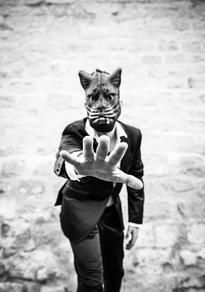 Male cat mask — Stock Photo, Image