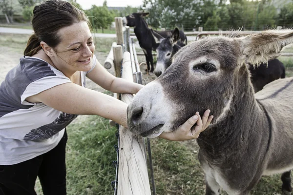 Kobieta gra osła — Zdjęcie stockowe