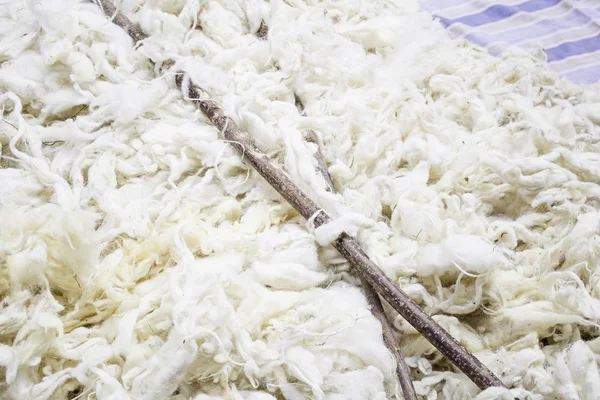 Sheep wool — Stock Photo, Image