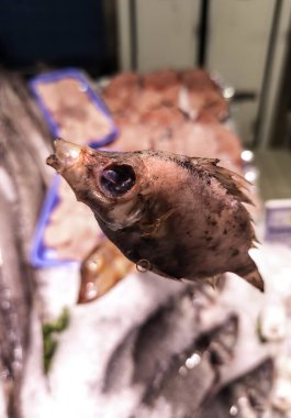 Detail of swordfish with captured fish