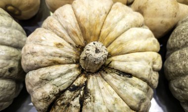 Marketteki taze sebzeler, sağlıklı yiyecekler.