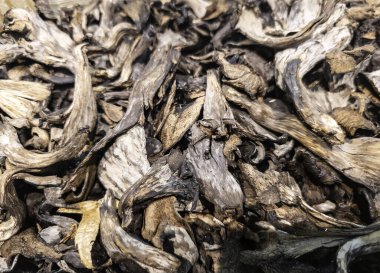 Şu anda bir süpermarkette sergilenmekte olan yabani mantarların yakın çekimi