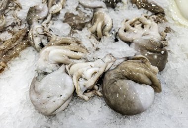 Markette çiğ ahtapot ve sağlıklı yiyecekler.