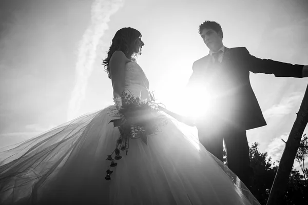 結婚海風 — ストック写真