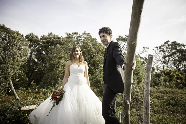 Couple arbre mariage — Photo