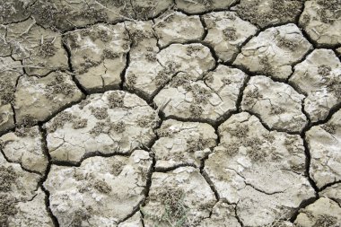 Kuru arazi üzerinde çatlaklar