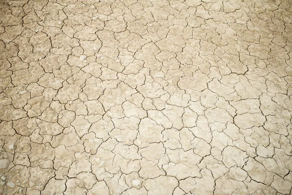 Terreno arido aperto — Foto Stock