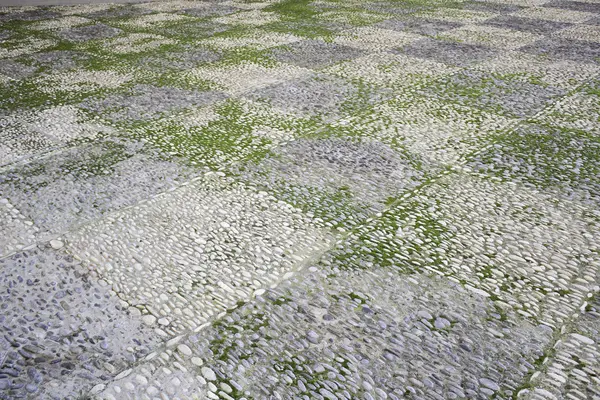 地面苔藓石 — 图库照片