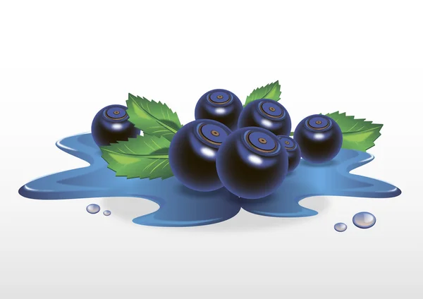 Blueberry jam — Stock Vector