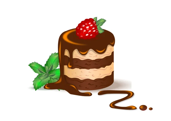 Шоколадний десерт з малиною та м'ятою — стоковий вектор