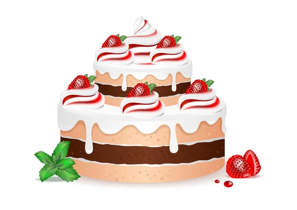 Sponge cake strawberry with cream on a white background — Stock Vector