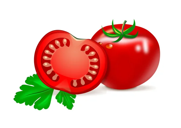 Tomates con hierbas sobre un fondo blanco — Vector de stock