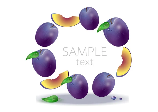 Ripe plums on a white background Stock Illustration