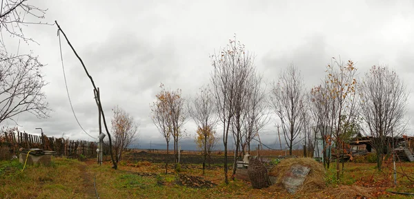 Le Village Elsanta, Russie. Village d'automne . — Photo