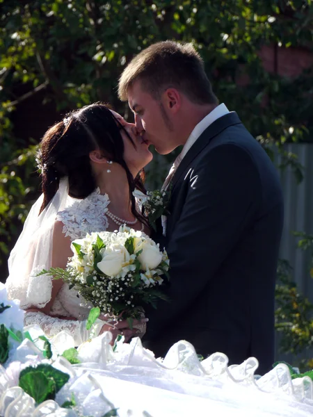 Hochzeitsgesellschaft. Braut und Bräutigam küssen sich. — Stockfoto