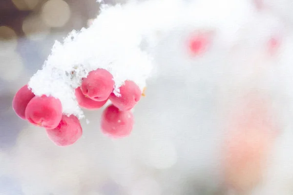 Kış meyveleri bir tuval dokusu üzerinde kar ile kaplı.