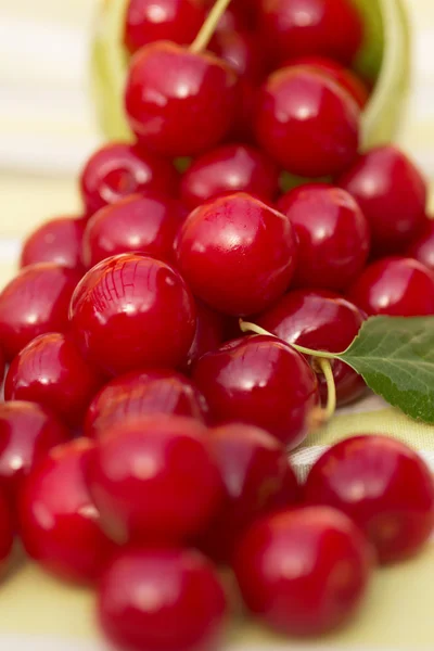 Organic Cherries in a Bowl — Stock Photo, Image